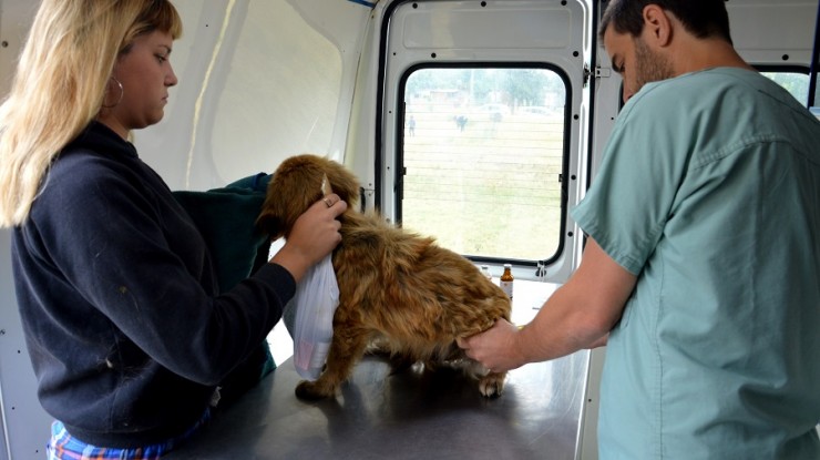 Móvil veterinario en Villa Argentina y Malvinas 2  